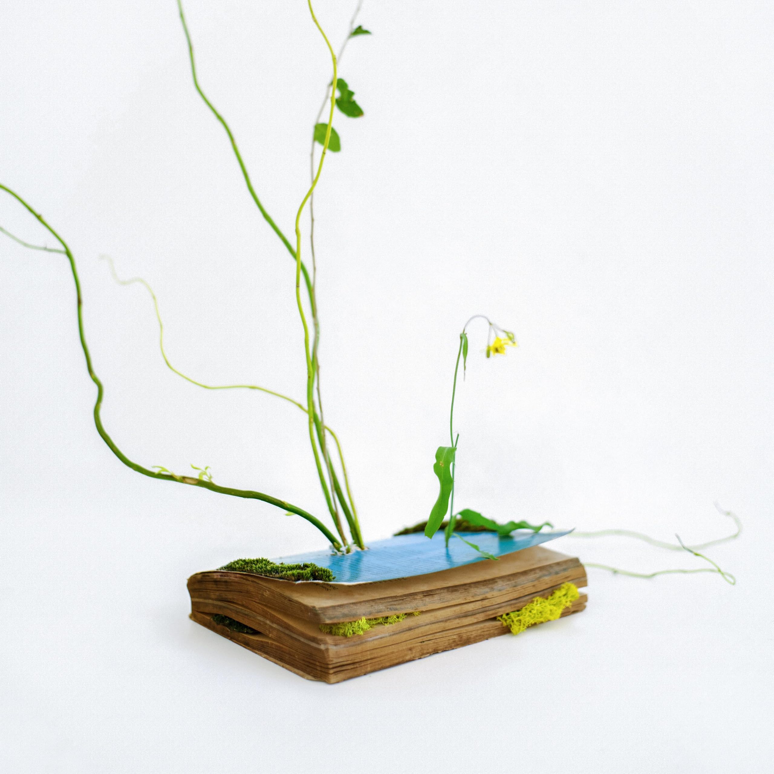 Image Cover